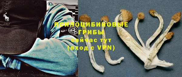 гашиш Арсеньев