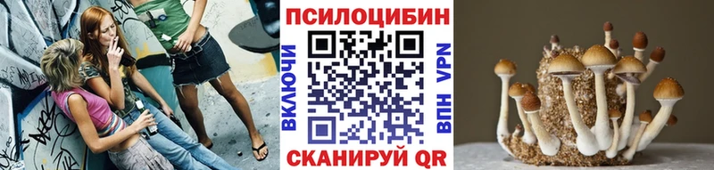 блэк спрут ссылки  Сортавала  Псилоцибиновые грибы Magic Shrooms 