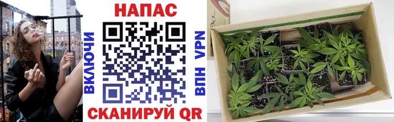 Каннабис AK-47 Сортавала